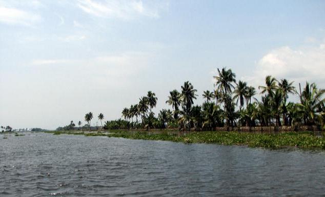 Alleppey